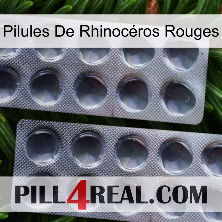 Pilules De Rhinocéros Rouges 31